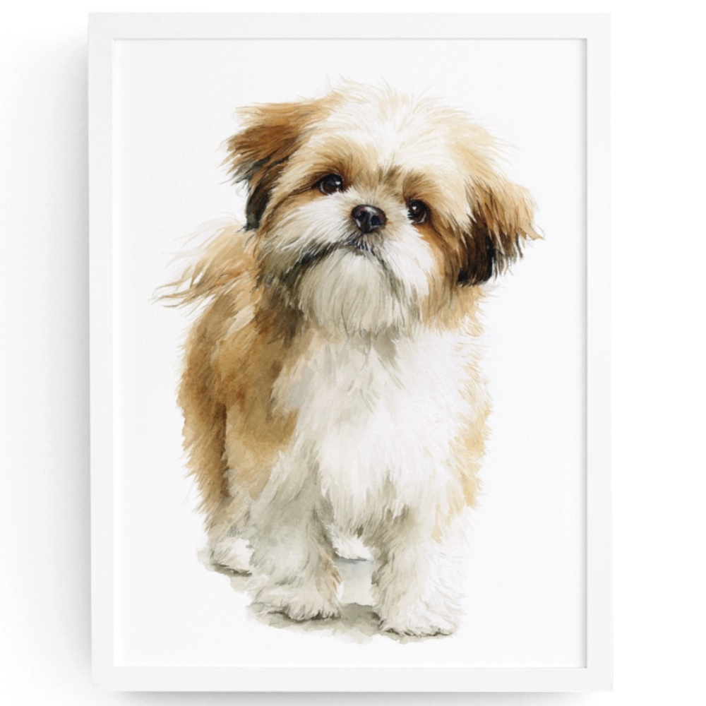 Watercolor Shih Tzu Dog Portrait Wall Art Print Poster Unframed - Pet Artwork